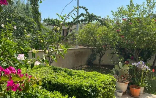 Bodrum Torbada Havuzlu Site İçinde Bahçe Katı Daire